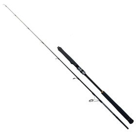 Ryuji Seawolf 1.83 m 200-400 gr 2P Jig Olta Kamışı