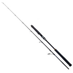 Ryuji Seawolf 1.98 m 150-250 gr 2P Aksiyonlu Olta Kamışı