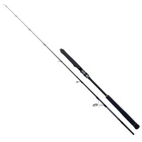 Ryuji Seawolf 1.98 m 30-150 gr 2 Parça Jig Olta Kamışı