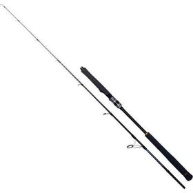 Ryuji Seawolf 1.98 m 30-150 gr 2 Parça Jig Olta Kamışı
