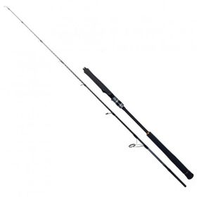 Ryuji Seawolf 168 cm 150-250 gr Jig Kamış