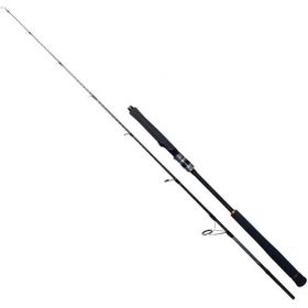 Ryuji Seawolf 180 cm 300-600 gr Aksiyonlu 2 Parça Jig Kamışı