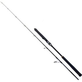 Ryuji Seawolf 198 cm 30-150 gr Jig Kamış