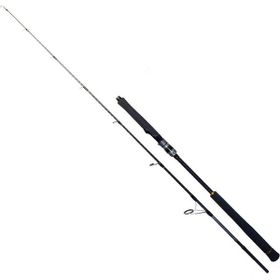 Ryuji Seawolf 198 cm 30-150 gr Light Jig Kamışı