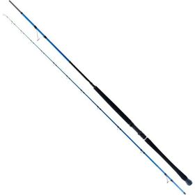 Ryuji Shore Game Fuji 2.85 m 25-85 gr 2 Parça Jig Kamış