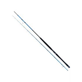 Ryuji Shore Game Fuji 2.85 m 25-85 gr 2 Parça Jig Kamış