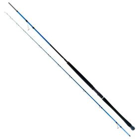 Ryuji Shore Game Fuji 2.85 m 25-85 gr 2 Parça Jig Olta Kamışı
