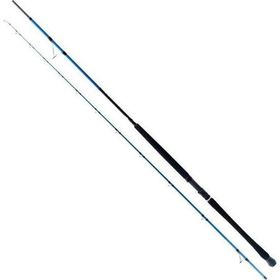 Ryuji Shore Game Fuji 285 cm 25-85 gr 2 Parça Jig Kamışı