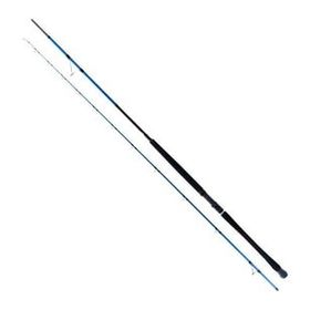 Ryuji Shore Game Fuji 285 cm 25-85 gr 2 Parça Jig Kamışı