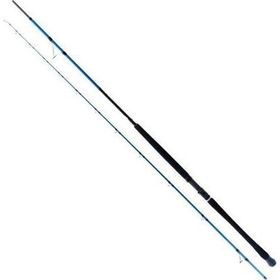 Ryuji Shore Game Fuji 285 cm 25-85 gr 2 Parça Jig Kamışı