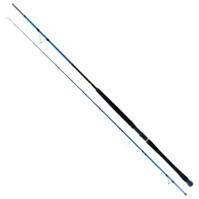 Ryuji Shore Game Fuji 285 cm 25-85 gr 2 Parça Jig Kamışı