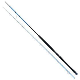 Ryuji Shore Game Fuji 285 cm 25-85 gr 2 Parça Jig Kamışı