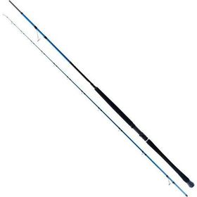 Ryuji Shore Game Fuji 285 cm 25-85 gr Jig Kamış