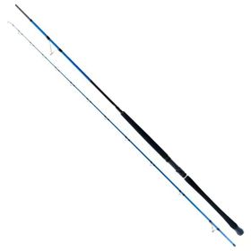Ryuji Shore Game Fuji 285 cm 25-85 gr Jig Kamış