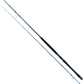 Ryuji Shore Game Fuji 285 cm 25-85 gr Jig Kamış