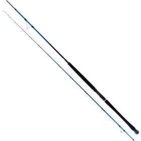 Ryuji Shore Game Fuji 285 cm 25-85 gr Jig Kamış