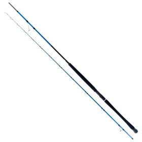 Ryuji Shore Game Fuji 285 cm 25-85 gr Jig Kamış