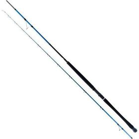 Ryuji Shore Game Fuji 295 cm 30-100 gr 2 Parça Shore Jig Kamış