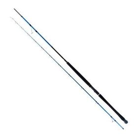 Ryuji Shore Game Fuji 295 cm 30-100 gr 2 Parça Shore Jig Kamış