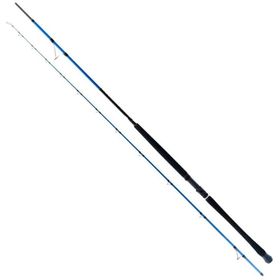 Ryuji Shore Game Fuji 295 cm 30-100 gr 2 Parça Shore Jig Kamış