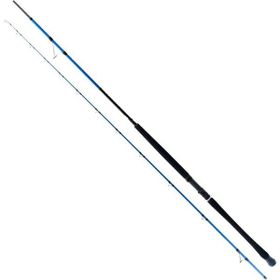 Ryuji Shore Game Fuji 295 cm 30-100 gr 2 Parça Shore Jig Kamış