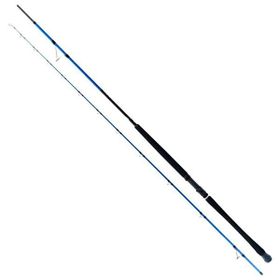 Ryuji Shore Game Fuji 295 cm 30-100 gr 2 Parça Shore Jig Kamış