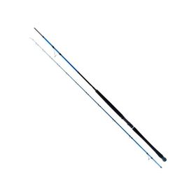 Ryuji Shore Game Fuji 295 cm 30-100 gr 2 Parça Shore Jig Kamış