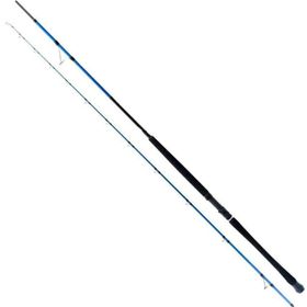 Ryuji Shore Game Fuji 295 cm 30-100 gr 2 Parça Shore Jig Kamış