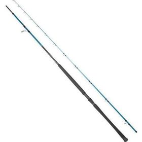 Ryuji Shore Game Fuji KW 2 Parça 2.95 cm 30-100 gr Jig Kamışı