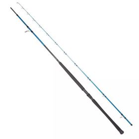 Ryuji Shore Game Fuji KW 2 Parça 2.95 cm 30-100 gr Jig Kamışı