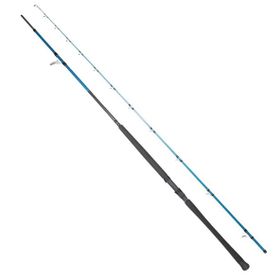 Ryuji Shore Game Fuji KW 2 Parça 3.10 cm 60-150 gr Jig Kamışı