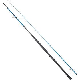 Ryuji Shore Game Fuji KW 2 Parça Jig Kamışı