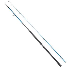 Ryuji Shore Game Fuji KW 285 cm 25-85 gr Jig Kamış