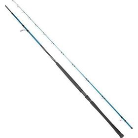 Ryuji Shore Game Fuji KW 295 cm 30-100 gr Jig Kamış