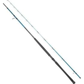 Ryuji Shore Game Fuji KW 295 cm 30-100 gr Jig Kamış