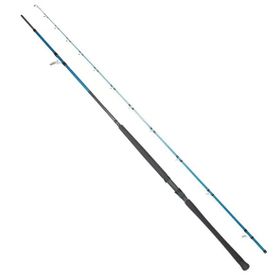 Ryuji Shore Game Fuji KW 310 cm 60-150 gr Atarlı Jig Kamışı