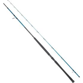 Ryuji Shore Game Fuji KW 310 cm 60-150 gr Atarlı Jig Kamışı