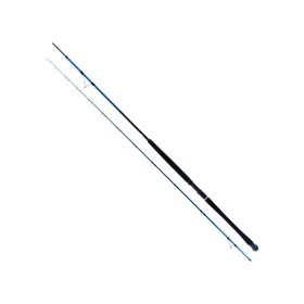 Ryuji Shore Game Fuji KW 310 cm 60-150 gr Jig Kamış