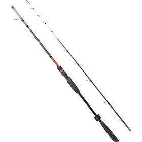 Ryuji Spectra SP 185 cm 50-300 gr Bot Kamış