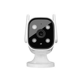 S-Link SL-BLT01 IP Smart 2.0MP FHD Wi-Fi+Network+TF Tuya Destekli Güvenlik Kamerası