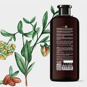 S-Well Argan Yağlı 500 ml Protez Saç ve Medikal Peruk Saç Bakım Şampuanı