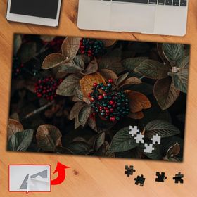 S4276 Tohumlu Yapraklar Bitki 240 Parça Puzzle Yapboz Tablo