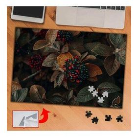 S4276 Tohumlu Yapraklar Bitki 240 Parça Puzzle Yapboz Tablo
