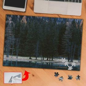 S832 Ormanda Ağaçlar Doğa 240 Parça Puzzle Yapboz Tablo