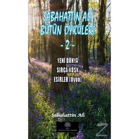Sabahattin Ali - Bütün Öyküleri 2