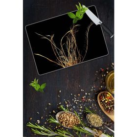Saban Altın Dal 30x40 cm Cam Kesme Tahtası