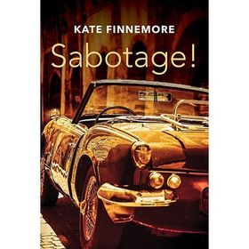 Sabotage - Anastasia Nesvetailova