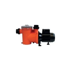 Saci Monofaze Winner Serisi 1.5 hp Havuz Pompası