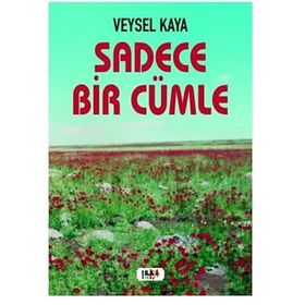 Sadece Bir Cümle - Veysel Kaya