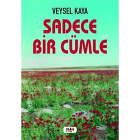 Sadece Bir Cümle - Veysel Kaya